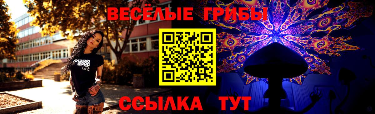 Чусовой  Галлюциногенные грибы MAGIC MUSHROOMS  Вход с VPN 