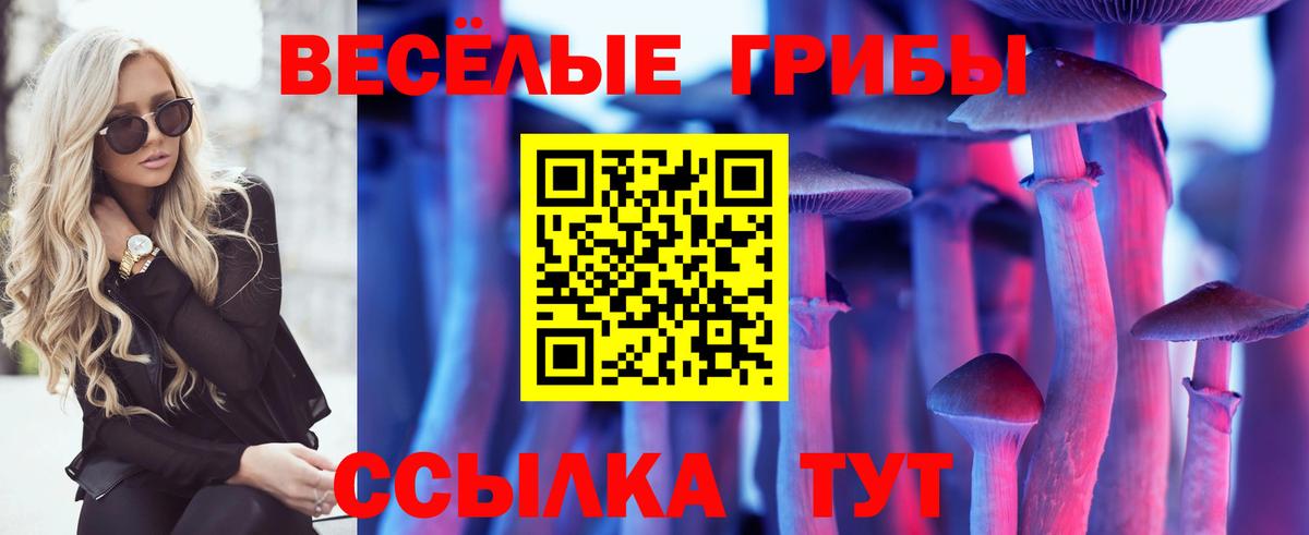 Галлюциногенные грибы Чусовой